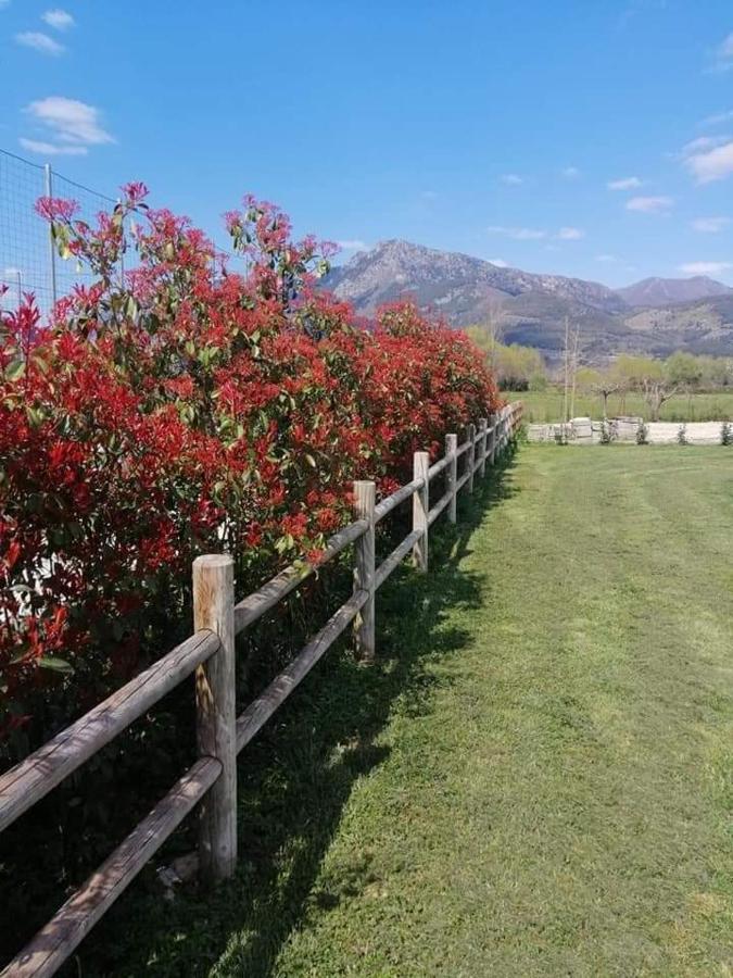 L'Airone Country House Hotel Sant'Elia Fiumerapido Exterior photo